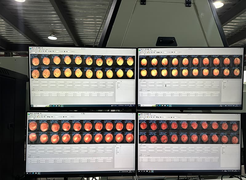images/1735199690056apple sorting grading machine.jpg